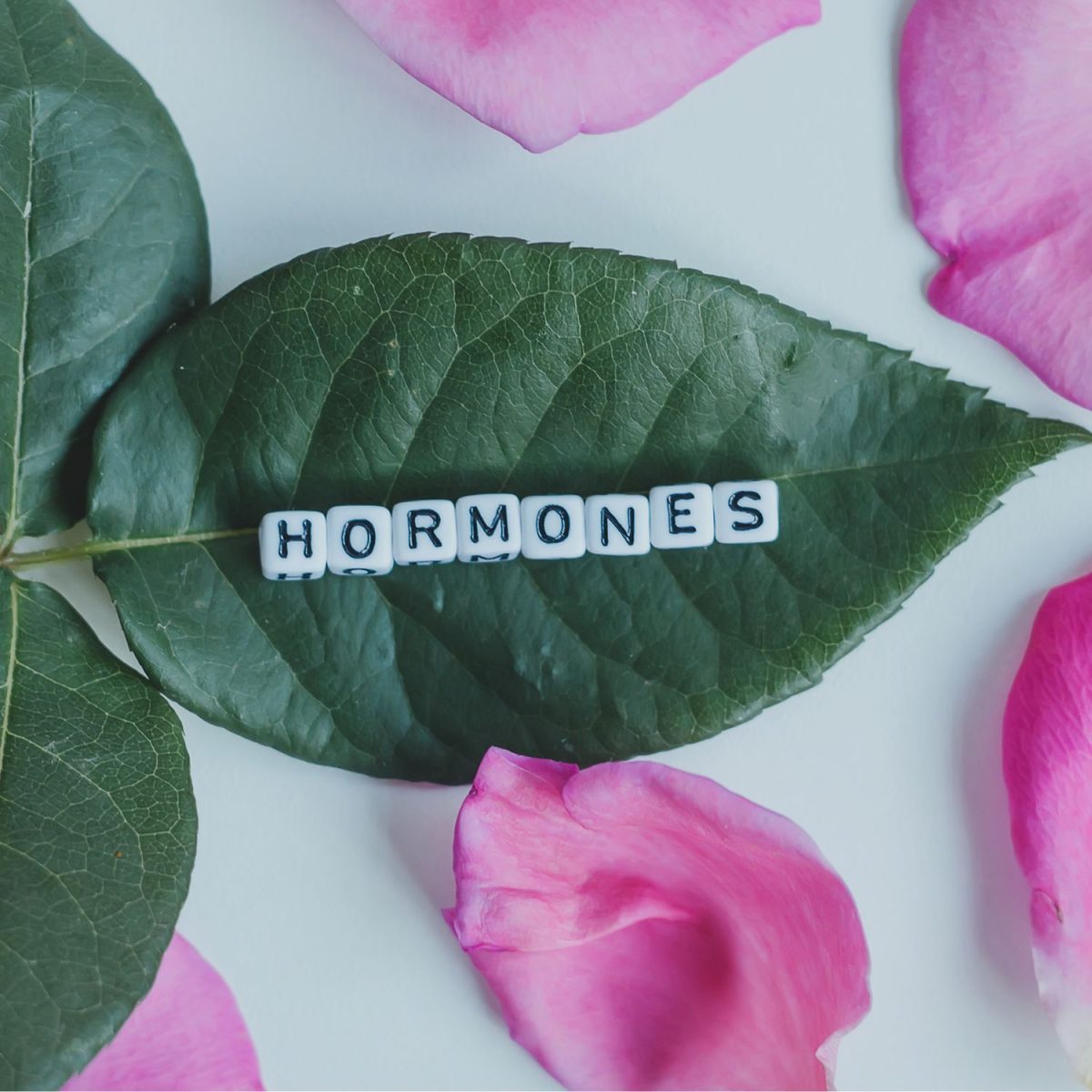 Hormones written on leaves, surrounded by rose petals | Intus Healthcare